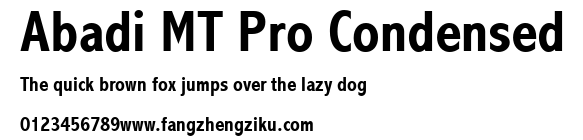 Abadi MT Pro Condensed.ttf